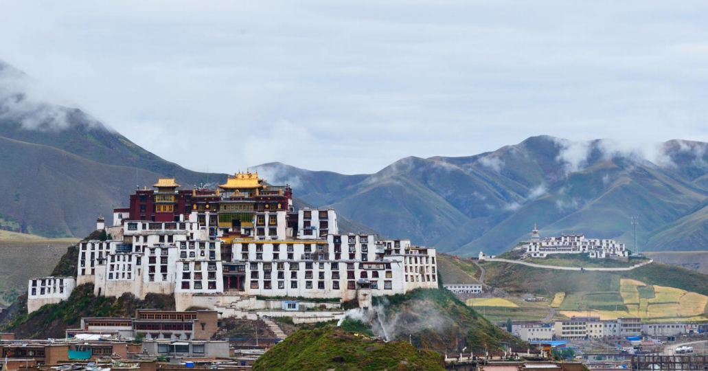 赞丹雪社区